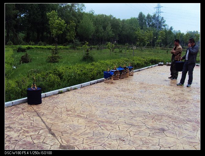 nEO_IMG_DSC02268.jpg