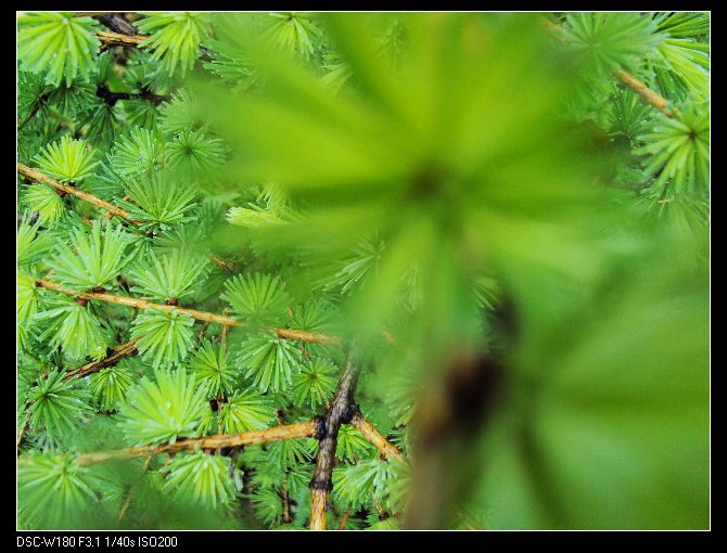 nEO_IMG_DSC02335.jpg