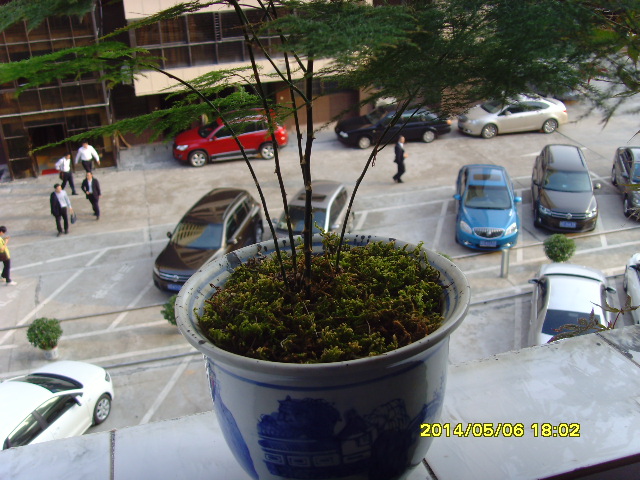 SNV37637.JPG