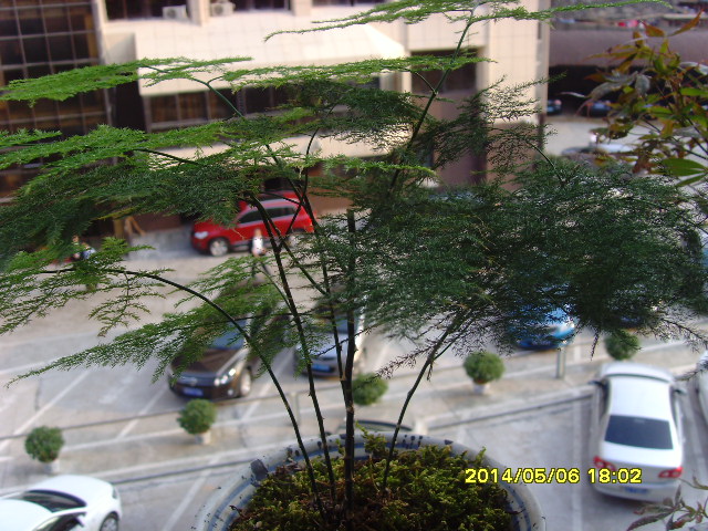 SNV37636.JPG
