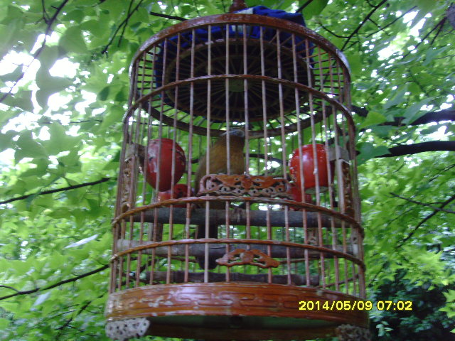 SNV37656.JPG