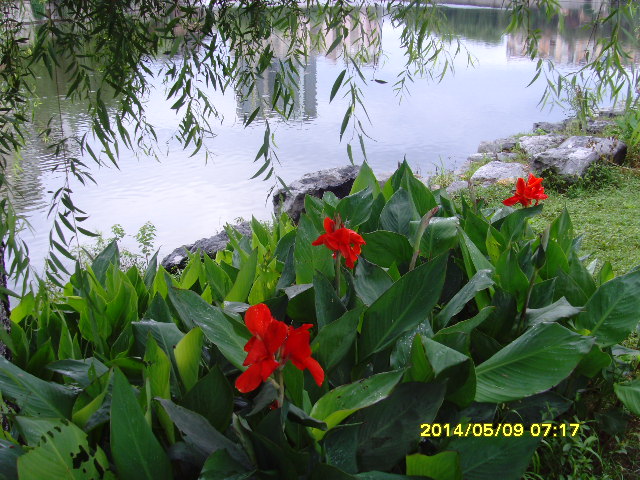 SNV37684.JPG