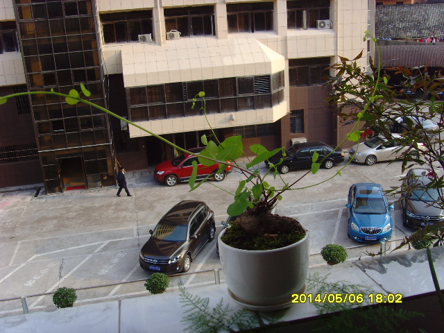 SNV37640.JPG