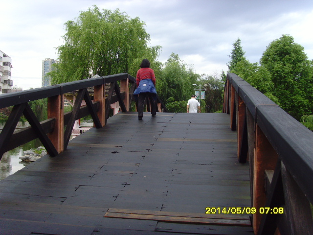 SNV37671.JPG