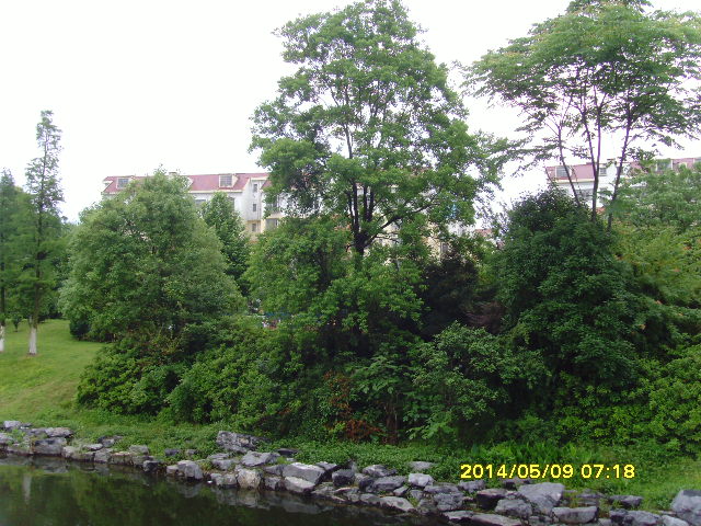 SNV37687.JPG
