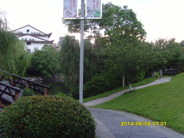 SNV37647.JPG