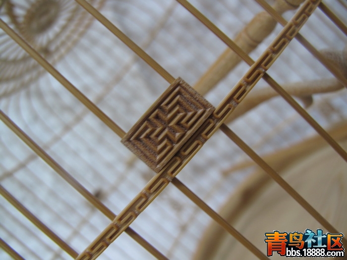 IMG_6953_调整大小.JPG
