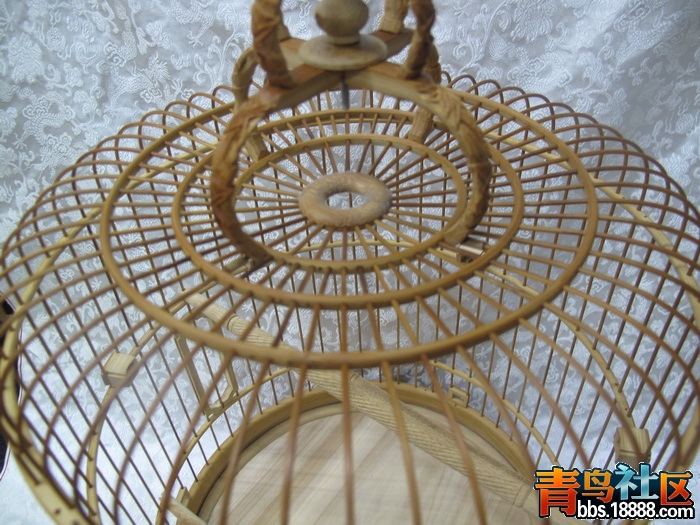 IMG_6853_调整大小.JPG