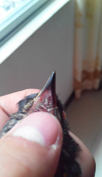 QQ截图20140522161526.jpg