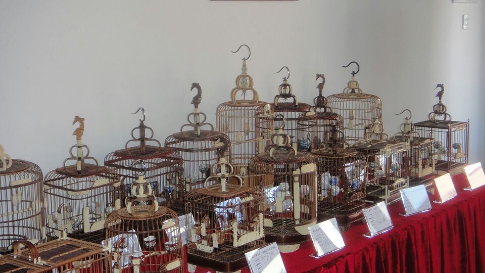 QQ图片20140505161947.jpg