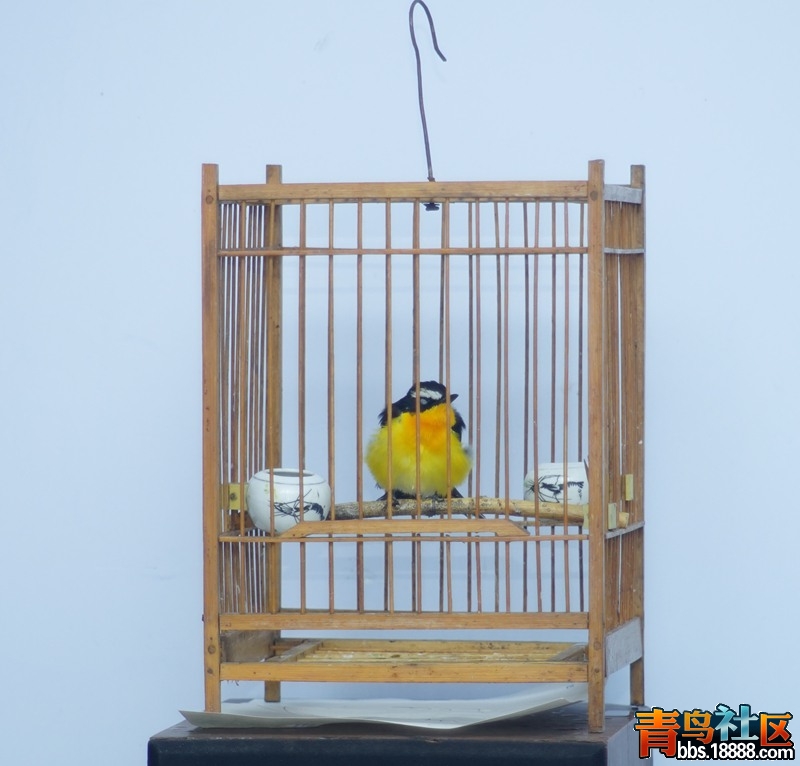 DSC00040_副本_副本.jpg