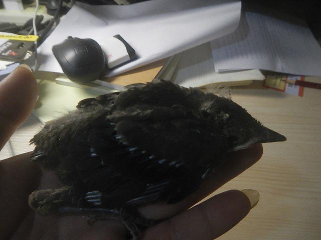 DSCN27941.JPG