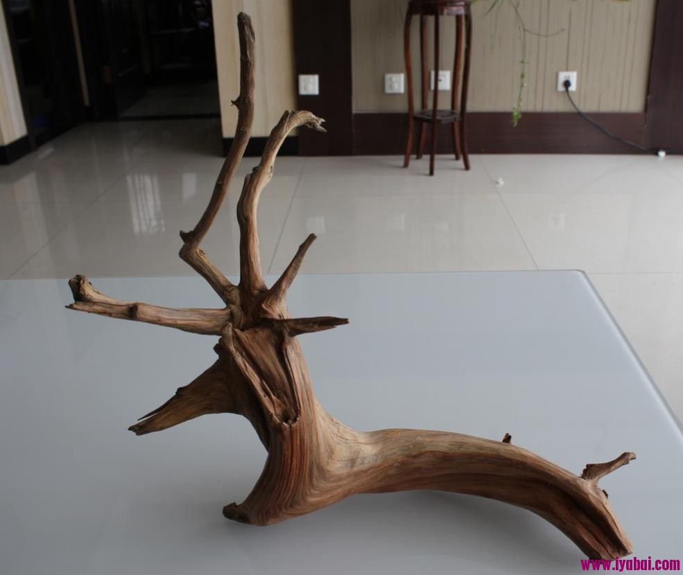 094538tlzn8nlh800hh0ln.jpg