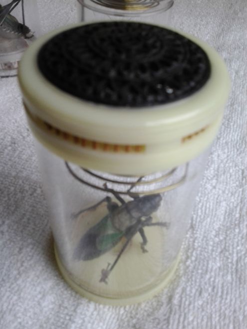 2014-05-14 09.25.30_副本.jpg