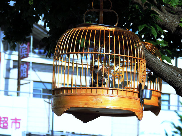 DSCN7976.JPG