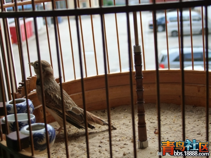 照片 030.jpg