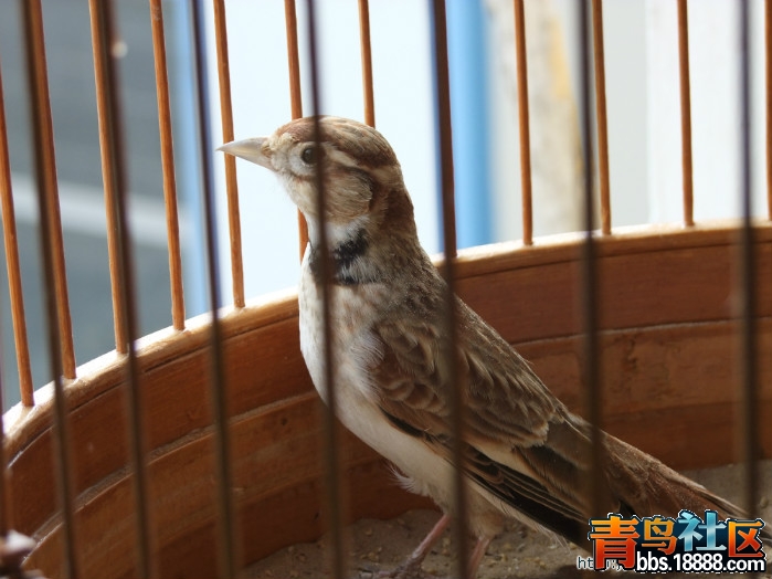 照片 029.jpg