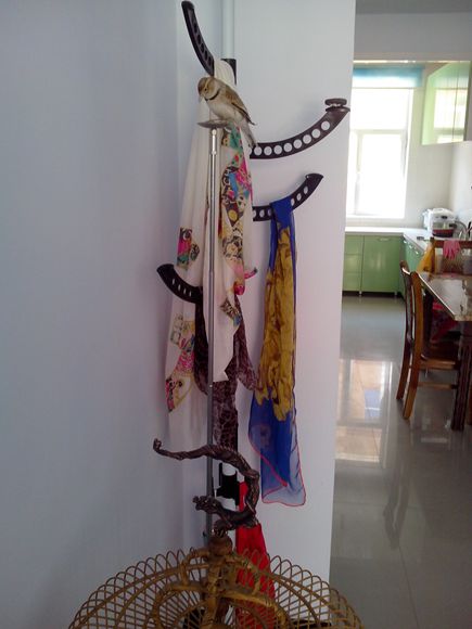 IMG20140506006.jpg