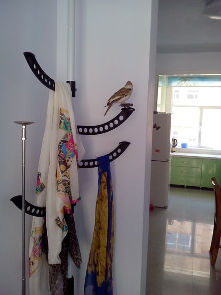 IMG20140506002.jpg
