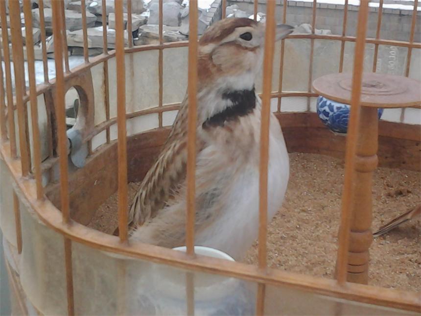 照片0904.jpg