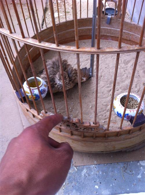 QQ图片20140525123115.jpg