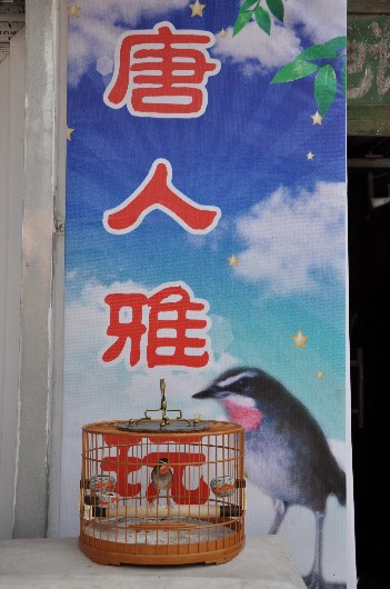 唐人雅玩55.jpg
