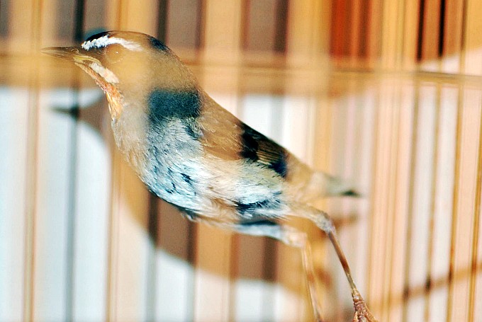 DSC_0128_conew1.jpg