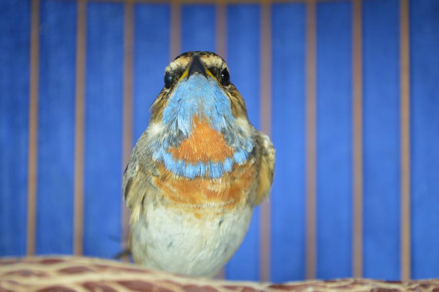 DSC_1358.JPG