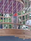 20140506_174156_副本.jpg