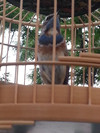 20140506_174749_副本.jpg