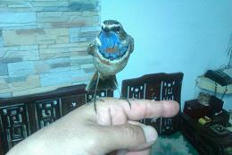 IMAG0068.jpg