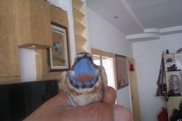 IMAG0026.jpg