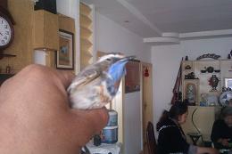 IMAG0027.jpg