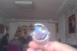 IMAG0024.jpg