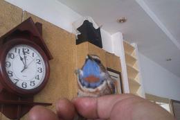 IMAG0025.jpg