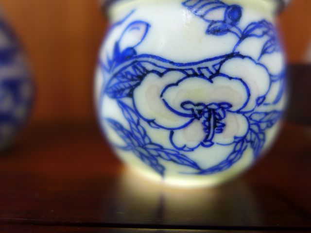 P1000767.JPG