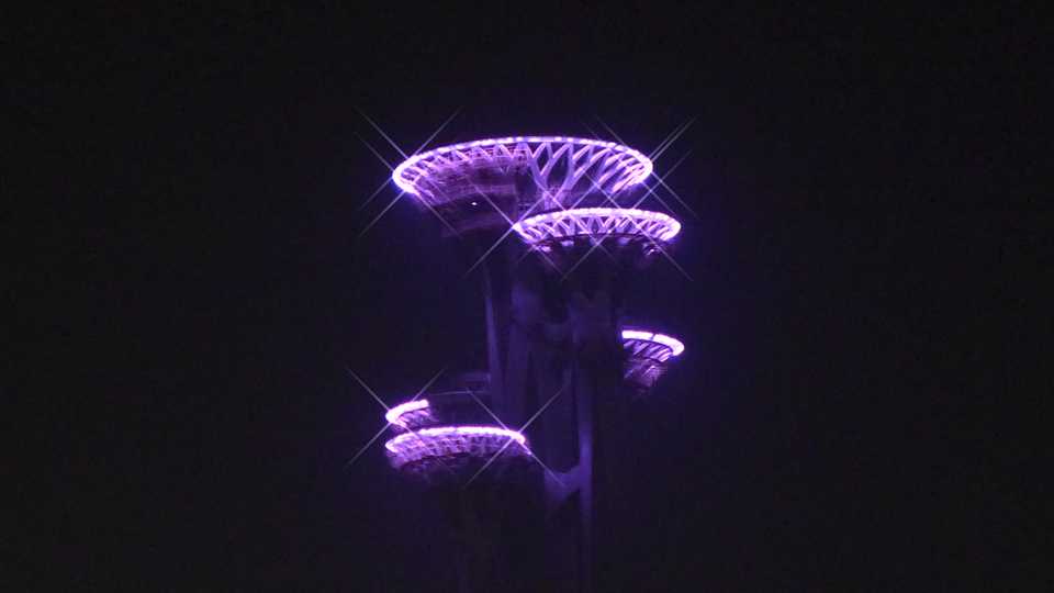 L1000238.JPG