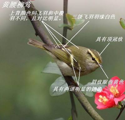 t01b94b39f0aac35e17.jpg