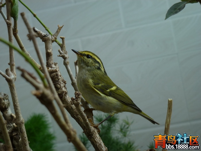 P1060816_调整大小.jpg