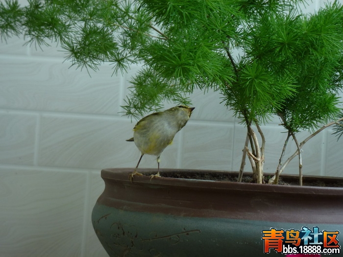 P1060735_调整大小.jpg