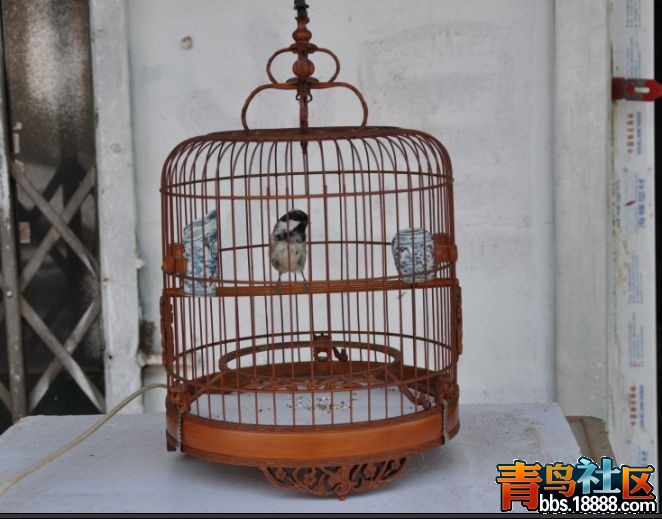 唐人雅玩48.jpg