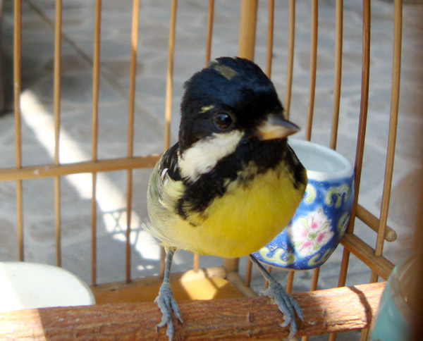 DSC02336.jpg