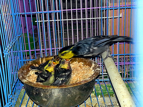 20140514_160950.jpg