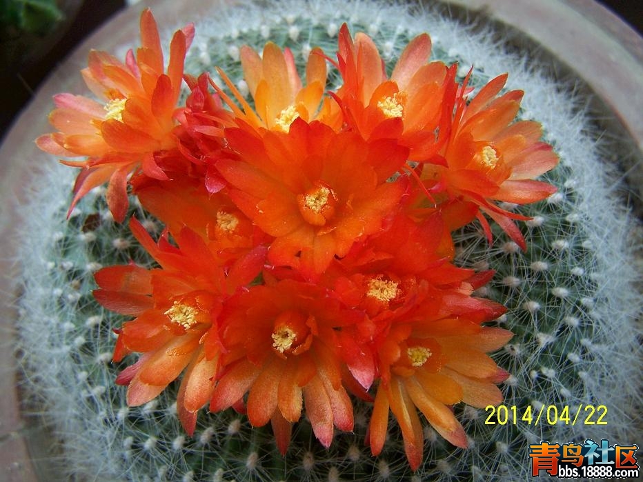 文化节103.JPG