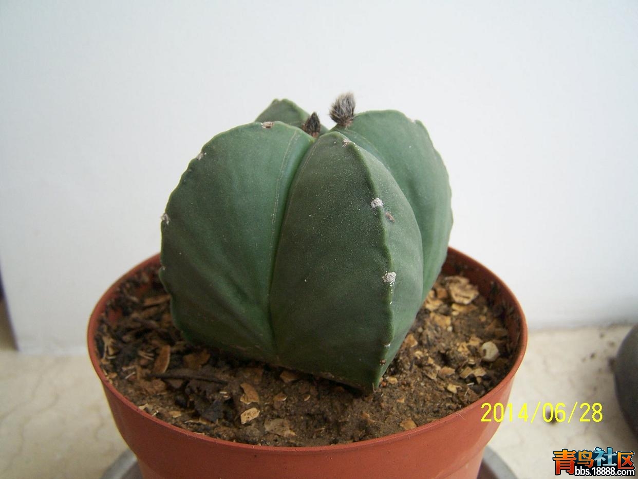 文化节201.JPG