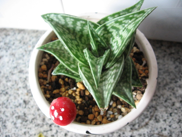 2014-01-15 019.jpg