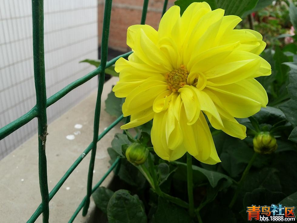 20140601_083945.jpg