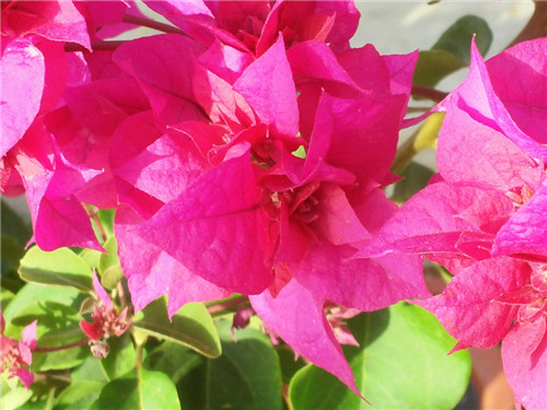20140608_071954.jpg