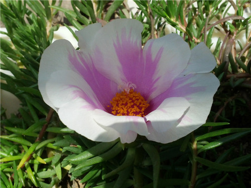 20140607_133732.jpg