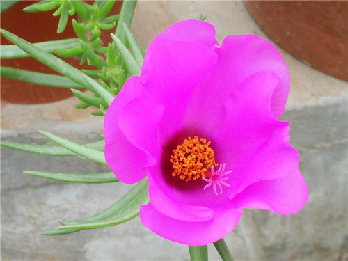 20140523_113239.jpg